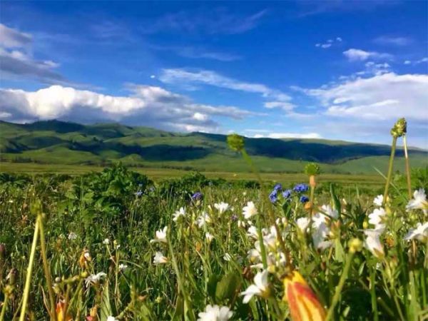 邂逅伊犁：喀拉峻、昭蘇夏塔雪山草原夢(mèng)幻之旅